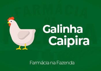Galinha Caipiria