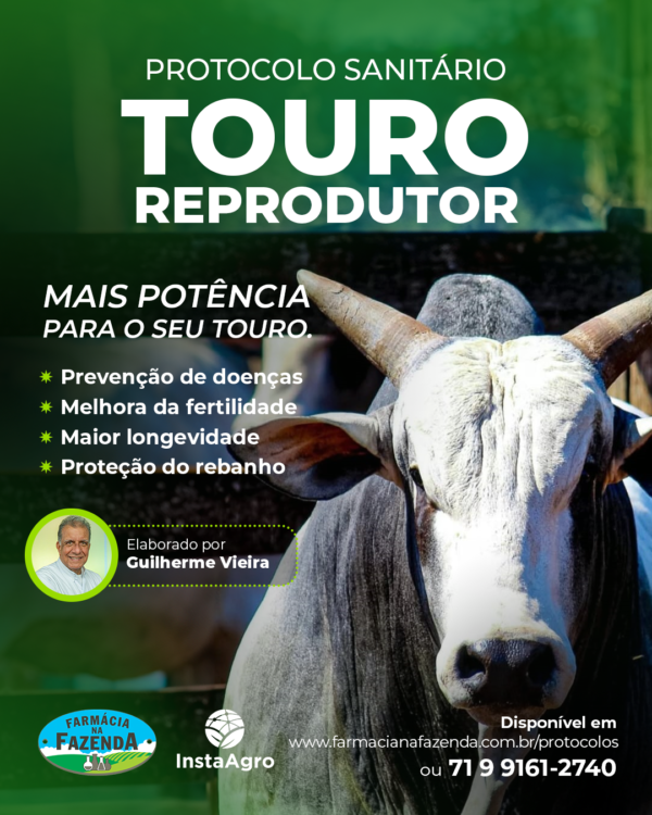 Protocolo Sanitário Touro Reprodutor