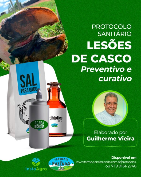 Protocolo Sanitário Lesões do casco – preventivo e curativo