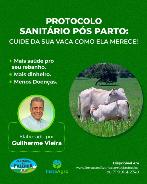 Protocolo Sanitário Pós-Parto – Cuida da sua vaca como ela merece