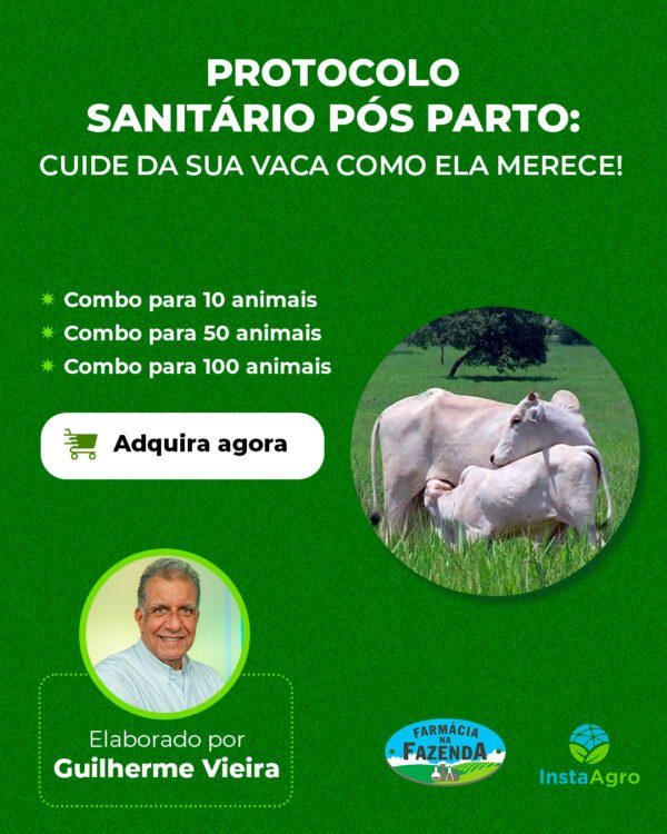 Protocolo Sanitário Pós-Parto – Combos